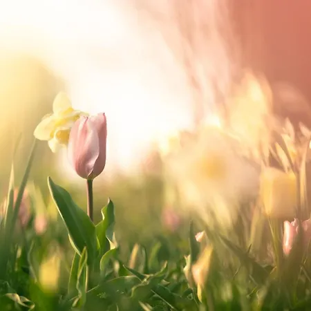 Country Den Oord Отель типа 