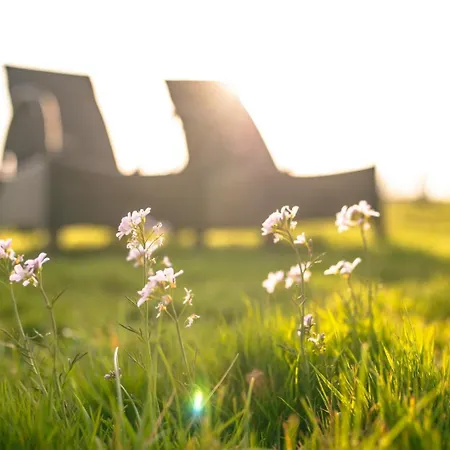 Country Den Oord Отель типа 