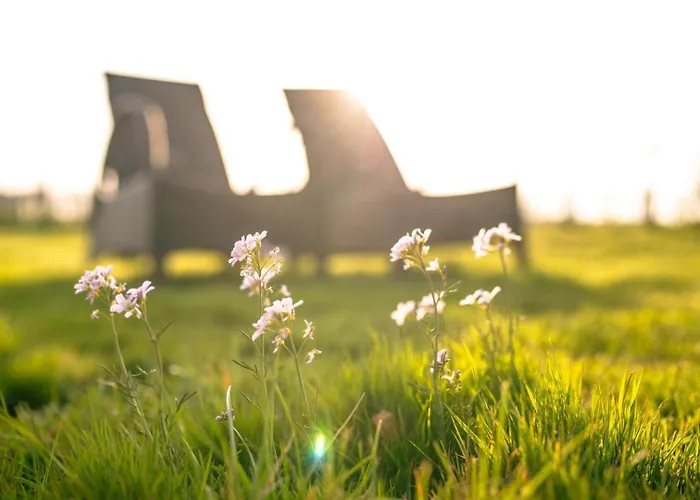 Country Den Oord Bed & Breakfast Terwolde