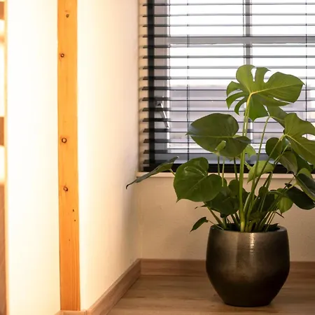 Country Den Oord טרוולדה