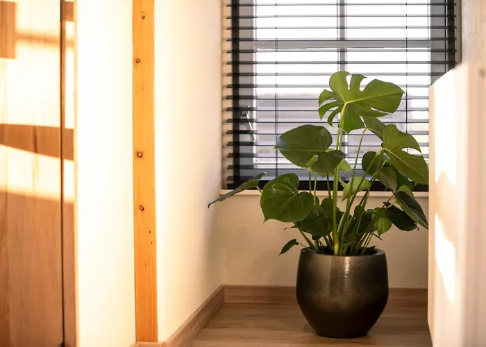 Country Den Oord Terwolde