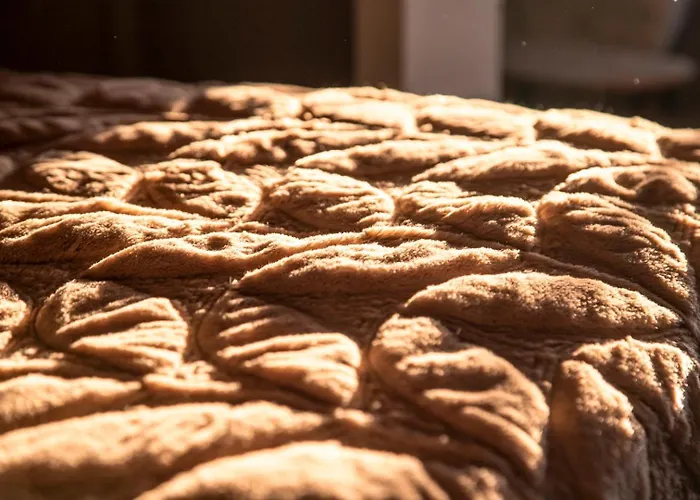 Country Den Oord 3* Terwolde