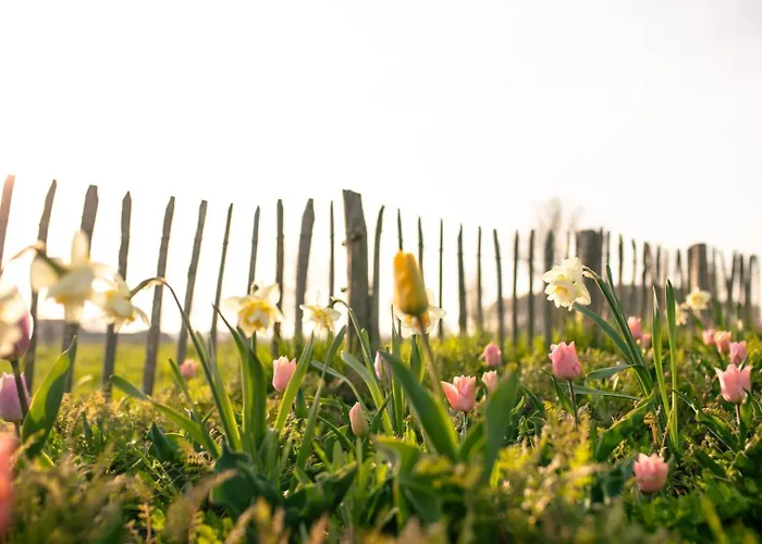 住宿加早餐酒店 Country Den Oord