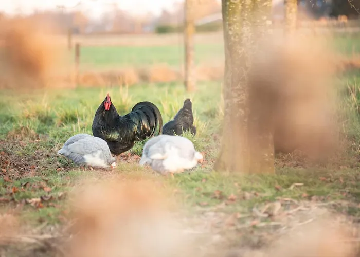 Country Den Oord 3* Terwolde